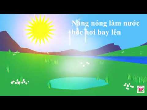 Tìm hiểu về mưa