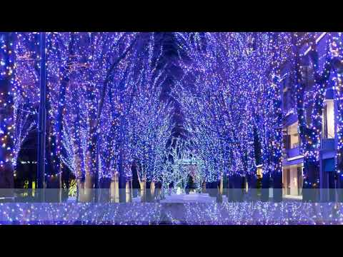 遠い街から　今井美樹（Coverd by Meg)  #遠い街から  #今井美樹