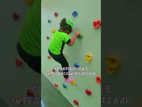 Terapia Ocupacional