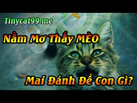 giai mong giac mơ tại xosotanphat.com
