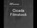 Cicada