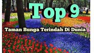 Top 9 : Ladang Bunga Terindah Di Dunia