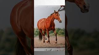 My FAVORITE technique in PAINTING & DRAWING