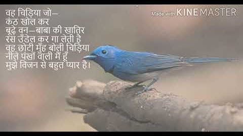 MLZS JHANSI CLASS 6 Hindi Literature Chapter 1 Lecture 1 By Geeta Mam