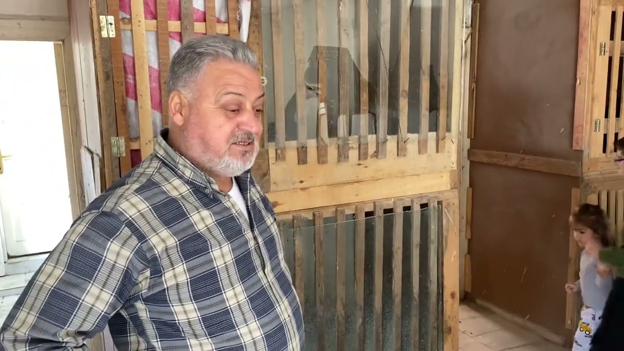 /// HİNT ÇAPARLARINDA EN SEVDİKLERİM SİYAH ÇAPARLAR👑🇹🇷///