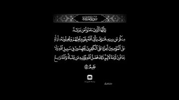 يا أيها الذين آمنوا من يرتد منكم عن دينه #سورة_المائدة #ماهر_المعيقلي #حامل_القرآن #إسلاميات #قرآن