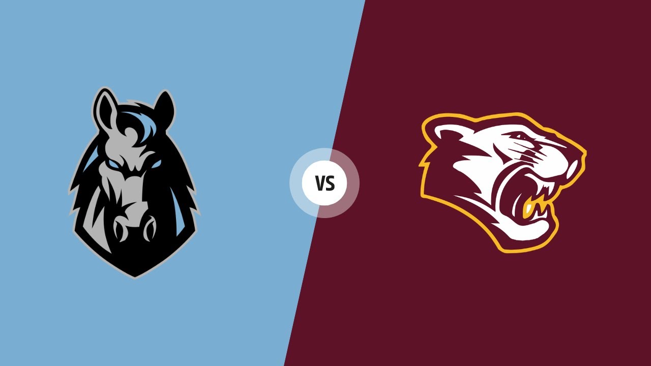 Muhlenberg County Mustangs vs McLean County Cougars Boys Varsity ...