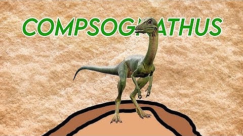 Compsognathus: Reviewing Dinosaurs ep15