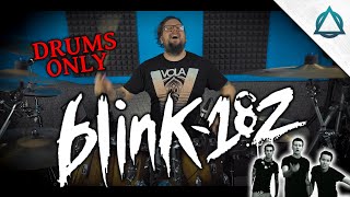 All The Small Things - @blink182  | DRUMS ONLY (2023)