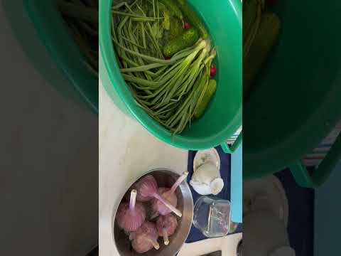 Лучшее новое изготовление зеленого лука с горьким красным перцем и чесноком 😋😋❤️👍