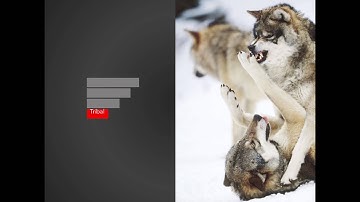 Reinventing Organisations - Talk & Expert Panel with Frederic Laloux (Part 1 of 2)