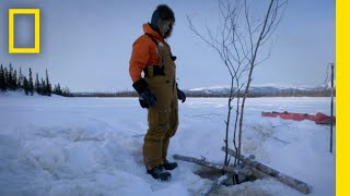 Beaver Traps | The Burdens of Winter | Life Below Zero Information