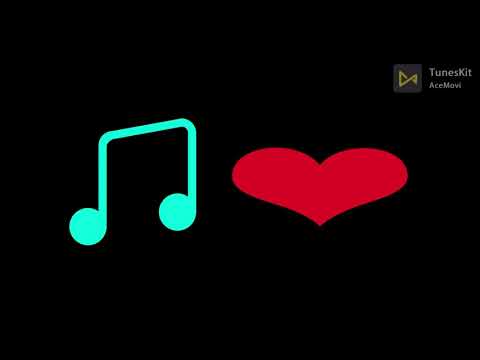 حالات واتس اجمل كوبلايه هتسمعه في حياتك عمرو دياب بالكلمات