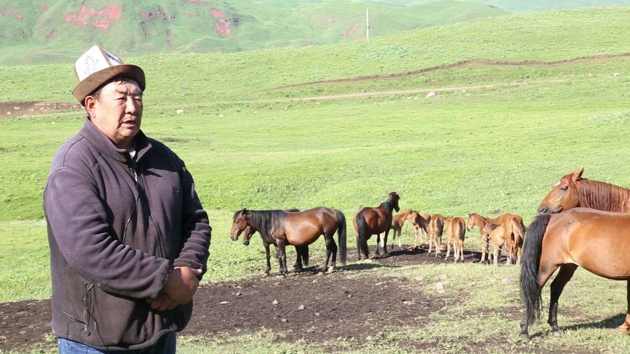 Токтогул.Сары-Камыш.Тер Жайлак жайлоосу