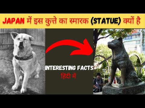 वीडियो: हचिको: टोक्यो में एक स्मारक। जापान में कुत्ते हचिको को स्मारक