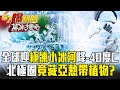 全球迎「極凍小冰河」瞬降 40度C！一萬年前北極圈竟藏「亞熱帶植物」？！【57爆新聞 萬象搜奇】  @57BreakingNews