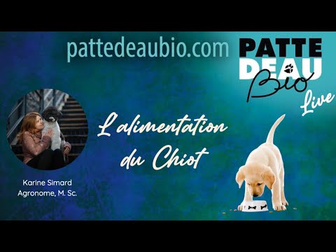 L&rsquo;alimentation du chiot