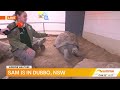 Giant Galapagos tortoises at Taronga Western Plains Zoo | Sunrise