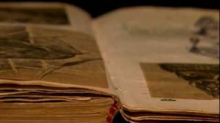 Silverdocs 2010 - FOUND Official Trailer.mp4