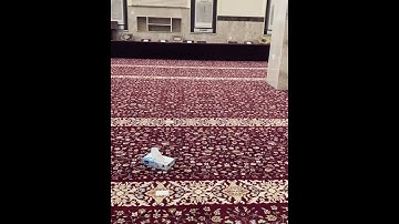 تلاوة جميله بصوت القارئ عمر عبدالعزيز