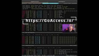 #Shorts Web Site Statistics From NGINX Logs Using GoAccess