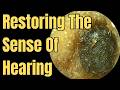 Restoring The Sense of Hearing