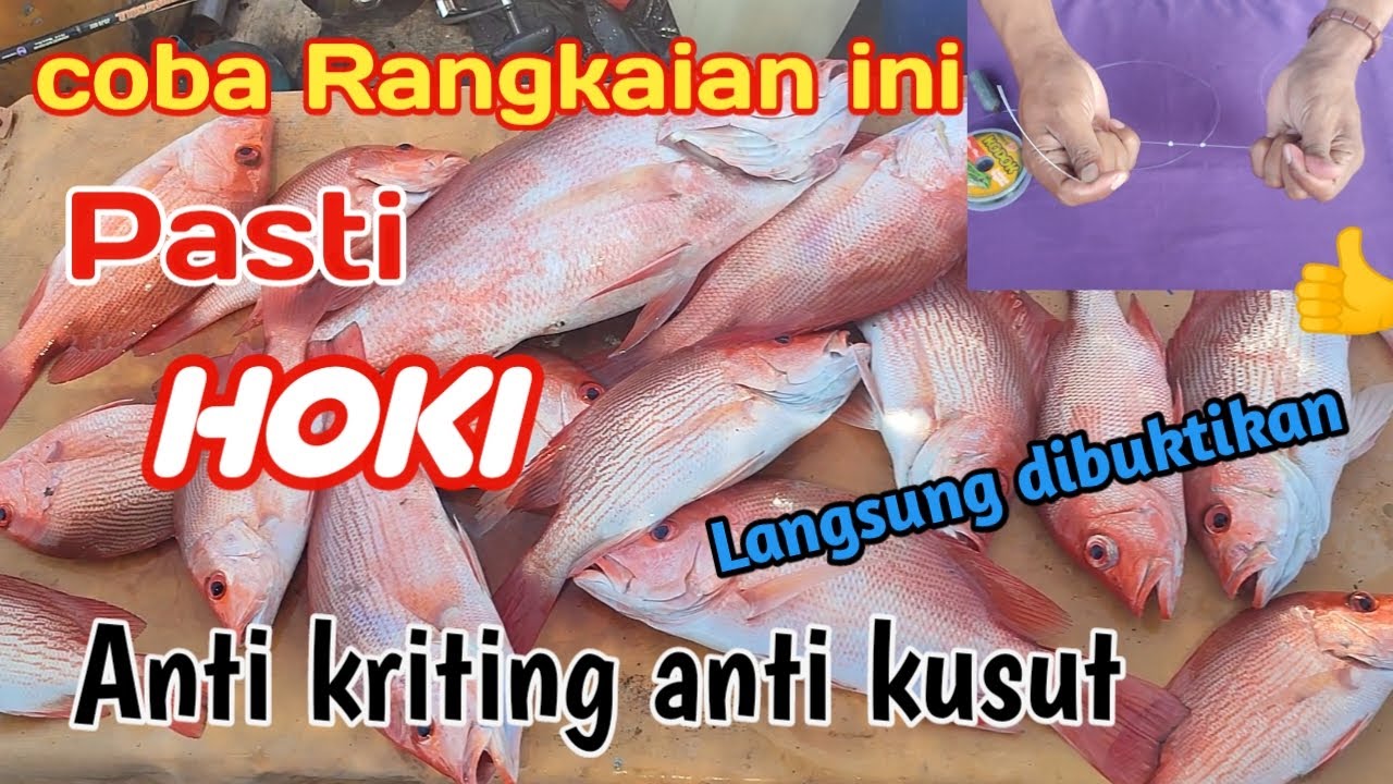 Cara membuat rankaian pancing dasaran ‼️ anti keriting dan kuat, yuk langsung di tes. @AMFishing2757