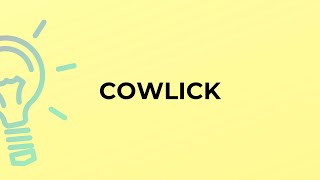 What Is The Meaning Of The Word Cowlick?