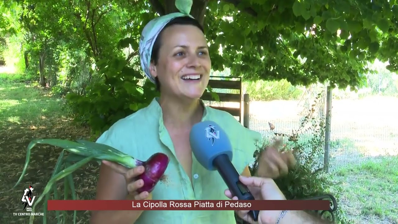 La Cipolla Rossa Piatta di Pedaso