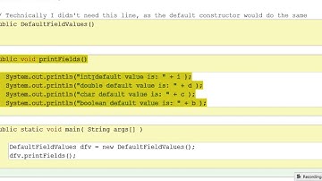 DefaultPrimitiveValues