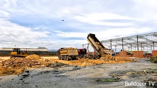 Experts Push Out Mud! By and Excavator​ SHANTUI Bulldozer With Team Truck 25.5Ton Spreading Soil