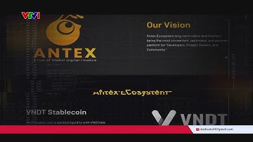 Từ dự án tiền ảo Antex - Vì sao nhà đầu tư tiếp tục sập bẫy gọi vốn? | VTV24