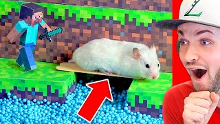 World’s *BEST* Minecraft Hamster MAZE! (Must See)