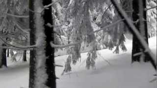 DSCN0305