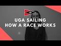 Uga sailing how a race works