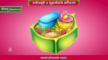 8th Science | Chapter#01 | Topic#05 | सूक्ष्मजीवांचे वर्गीकरण | Marathi Medium