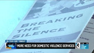 More need for domestic violence services