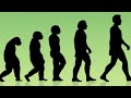 Grade 12 Biology, unit 4 -Evolution in Amharic