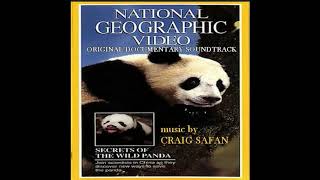 Secrets Of The Wild Panda - Epilogue - Craig Safan