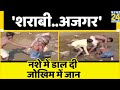 Drunk man wraps python around his neck, struggles to get it off, disturbing visuals