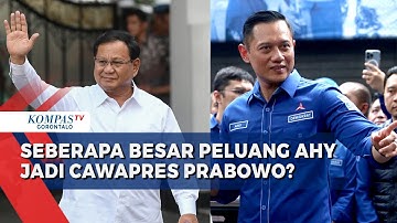 Demokrat Dukung Prabowo, Seberapa Besar Peluang AHY Jadi Cawapres?