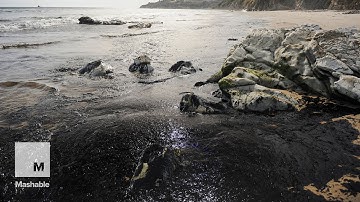 Broken pipeline spills oil on scenic central California coast | Mashable