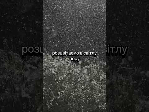 Там де нас Бог посіяв Назад у майбутнє відеоукраїнською Music новамузика слухайукраїнське Song