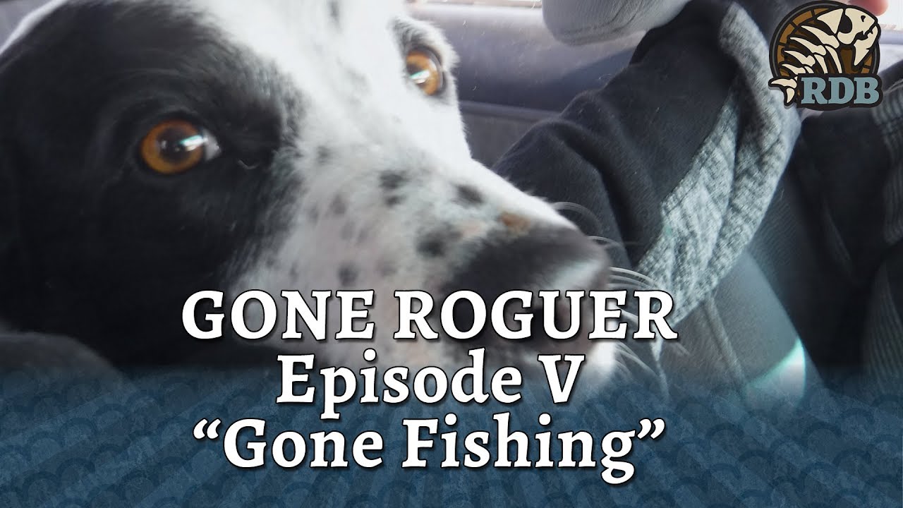 Gone Roguer #5: Gone Fishing - Behind The Scenes at Gone Rogue Games LGS Richfield Utah