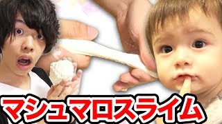 【実験】マシュマロスライム作ってみた！【ZyonMana × 876】
