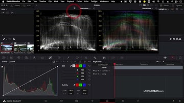 Access & Customize the Video Scopes in DaVinci Resolve 17