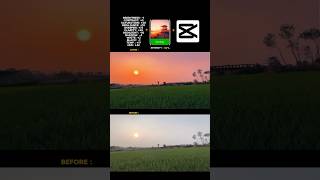 sunset view colour grading | Moody green color grading using Capcut tutorial Capcut editing  #shorts