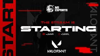 VALORANT / FOR FUN