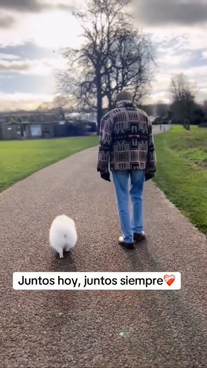 Juntos Para Toda La Vida Pdf Juntos para toda la vida 🐶🙎‍♂️💛 - YouTube