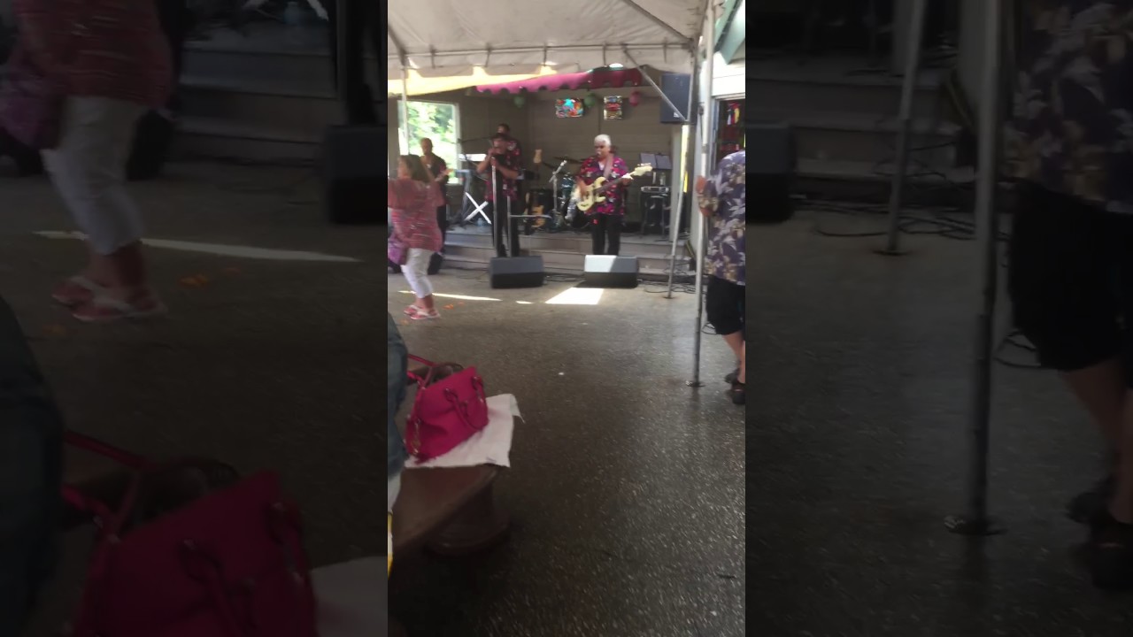 The Original Fantasy's live at Honi Honi